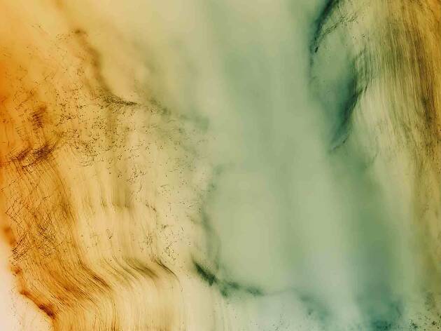 pic Abstract Wolfgang Tillmans