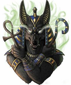 picture Anubis God Pictures