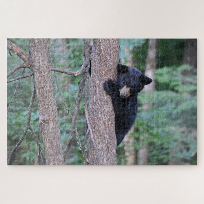 wallpapers Baby Black Bear Climbing Tree