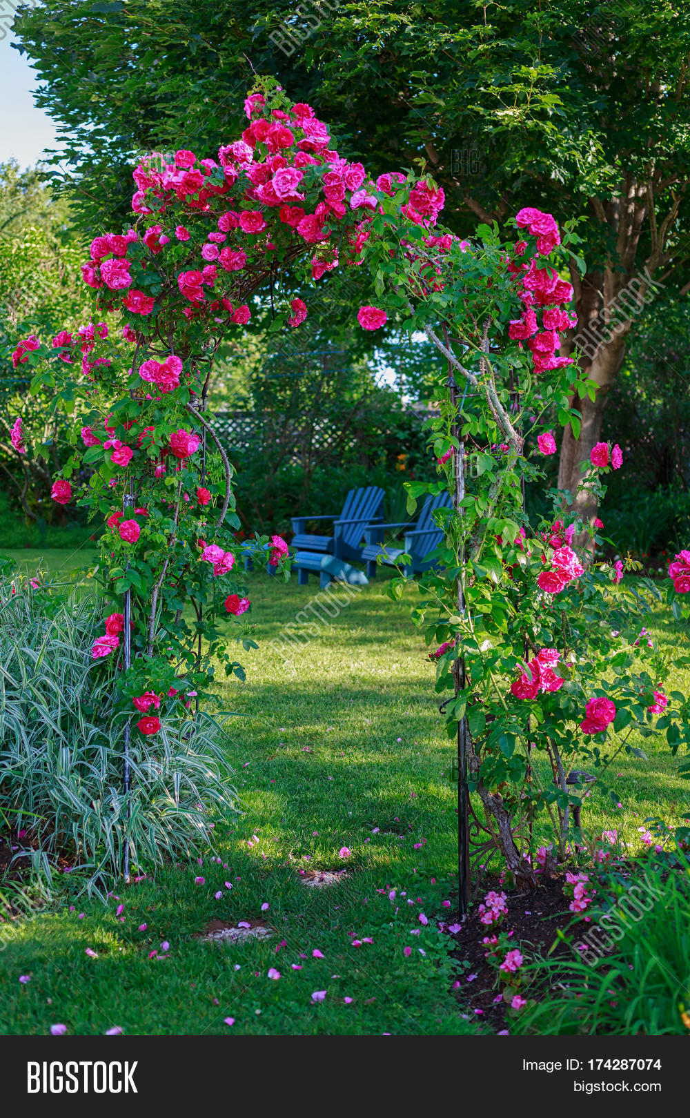 images Backyard Rose Arbor