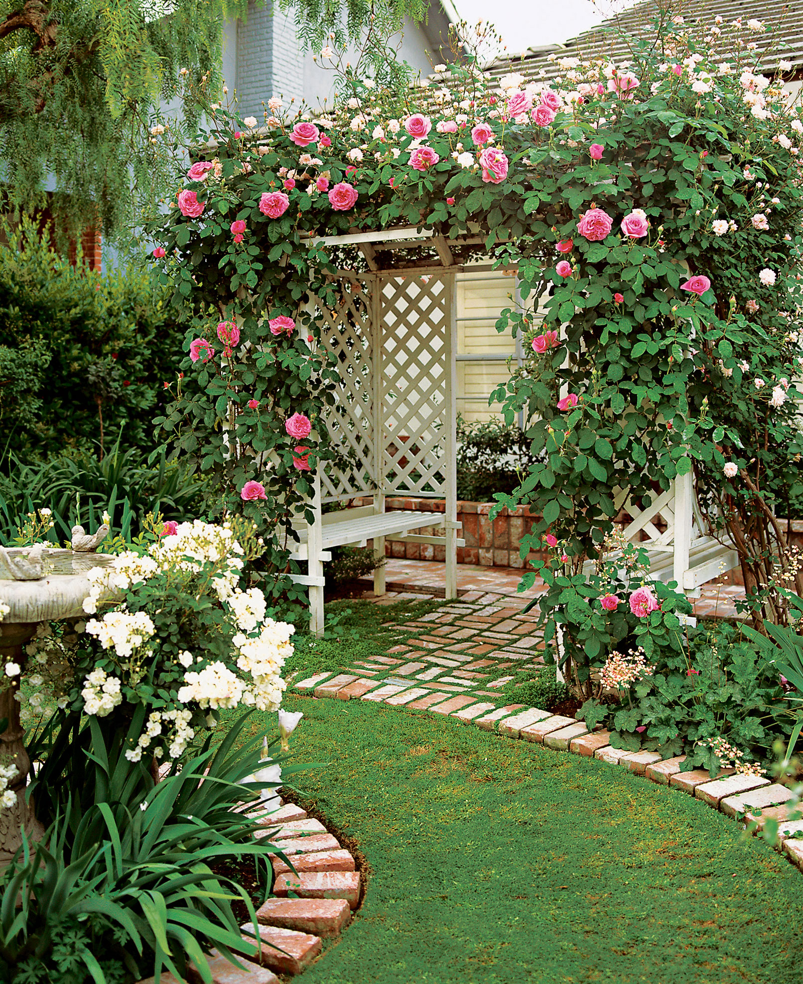 pics Backyard Rose Arbor