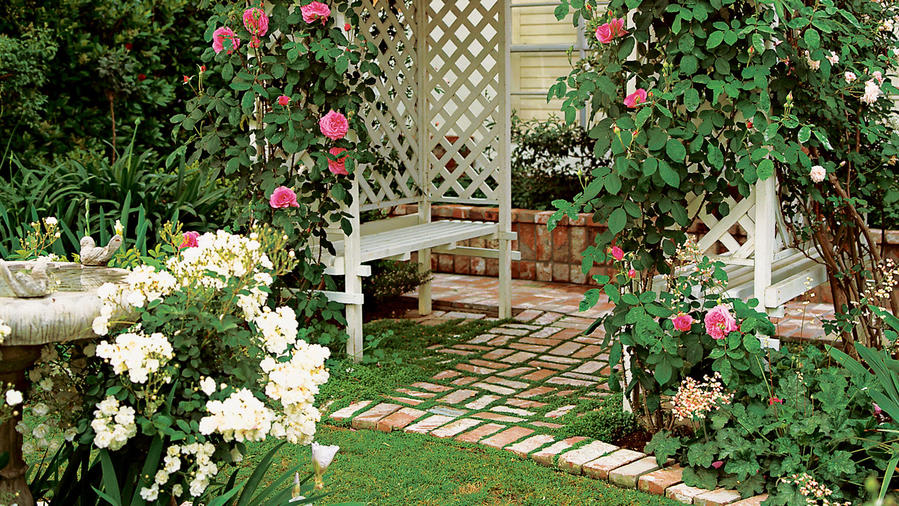 picture Backyard Rose Arbor