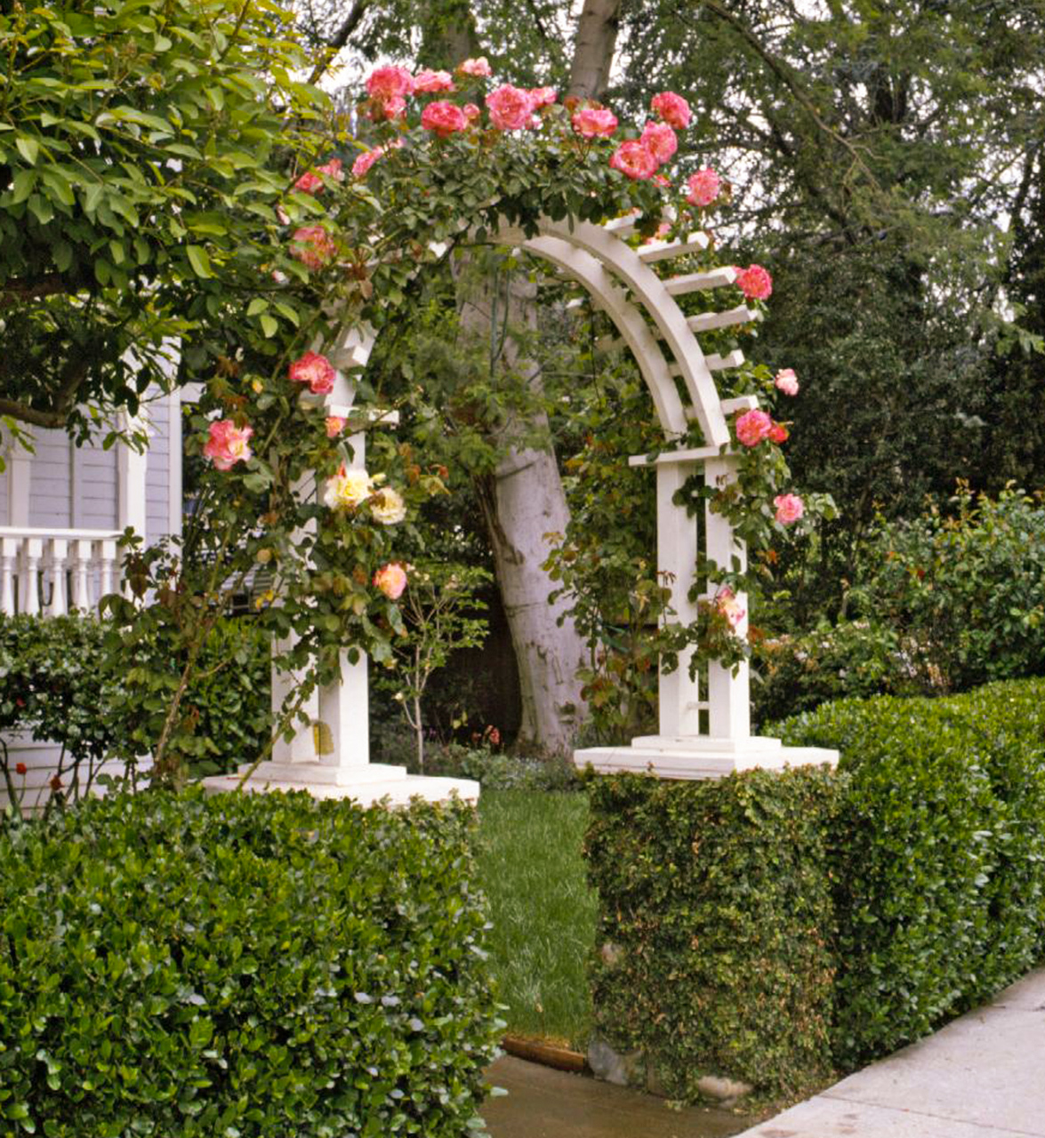 pic Diy Rose Arbor