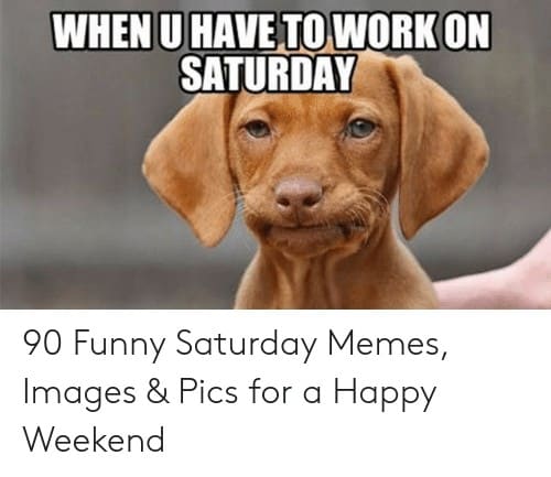 photo Funny Memes Working On Saturday Meme