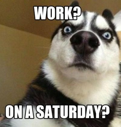 pic Funny Memes Working On Saturday Meme