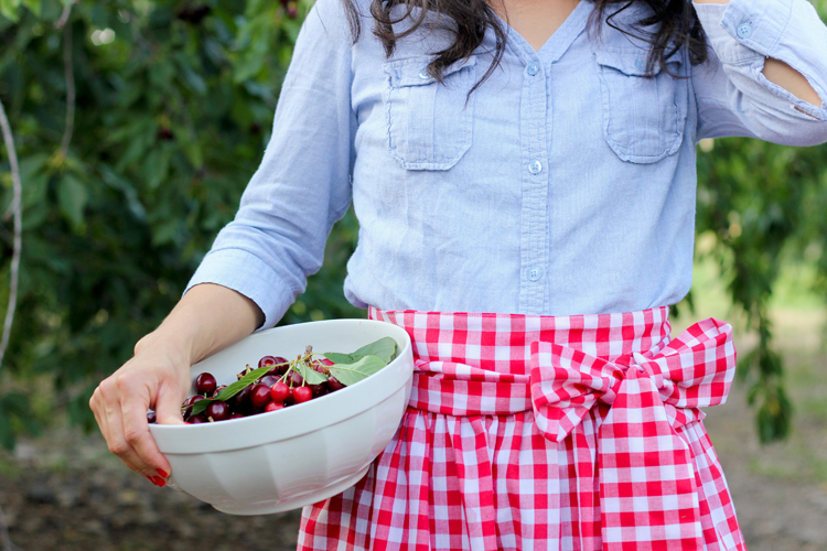 picture Half Apron Pattern