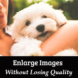 images How To Increase Size Of Image Without Losing Quality