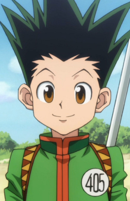 pix Hunter X Hunter Gon Age 15