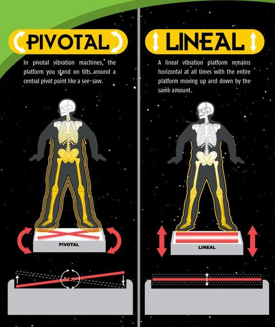 Featured image of post Lineal Vs Linear