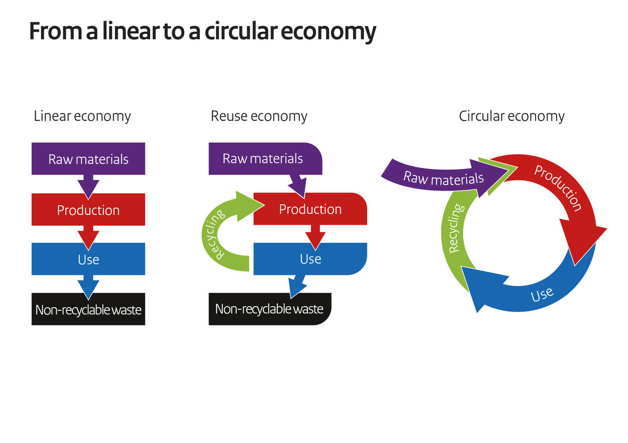 photo Lineal Vs Linear