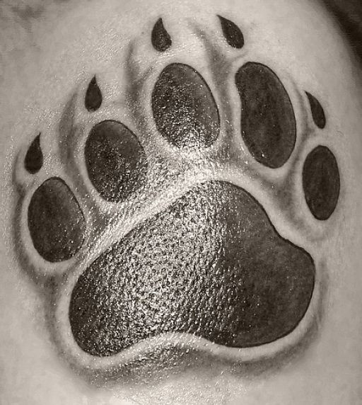 Featured image of post Polar Bear Paw Tattoo