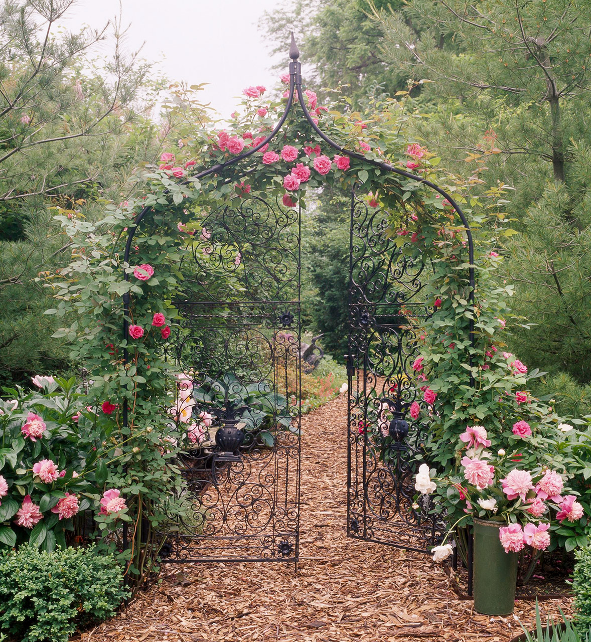 pics Rose Arbor Ideas