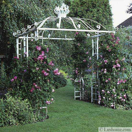 pix Rose Arbor Ideas