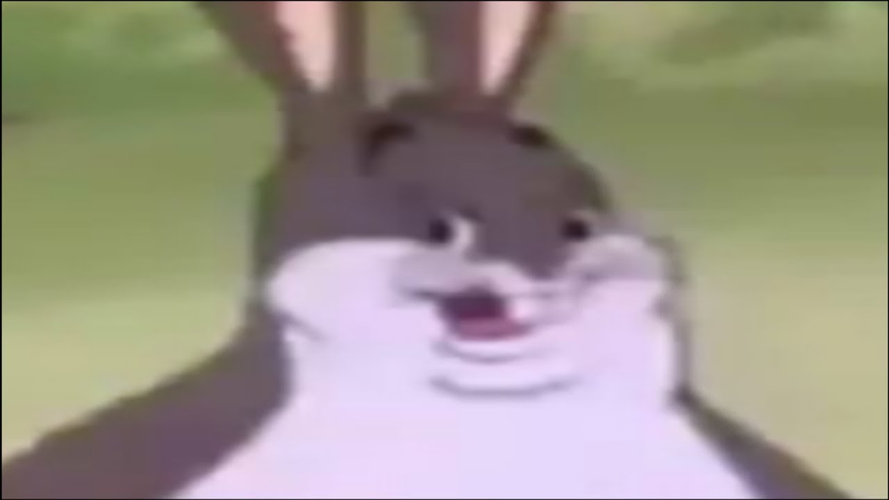 pix Show Me Pictures Of Big Chungus