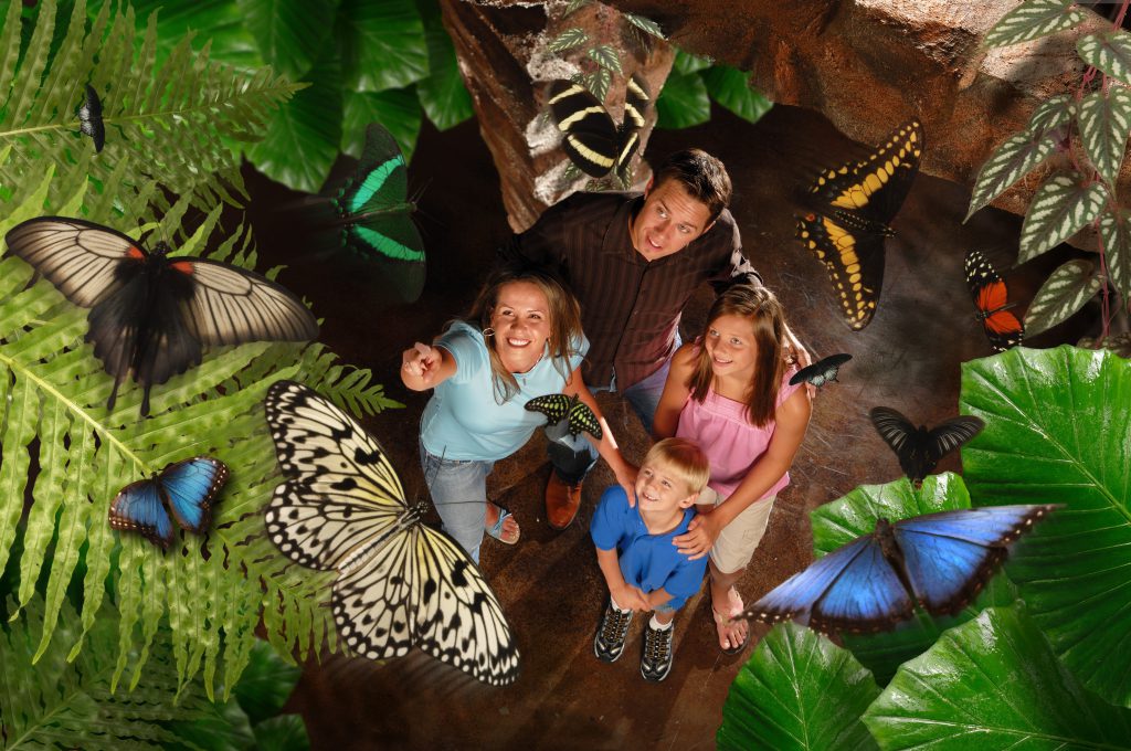 pic Things For Toddlers To Do In Branson Mo