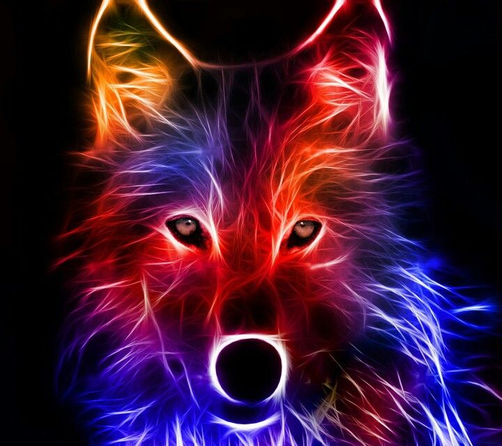 Featured image of post Wolf Cool Wallpapers For Tablets