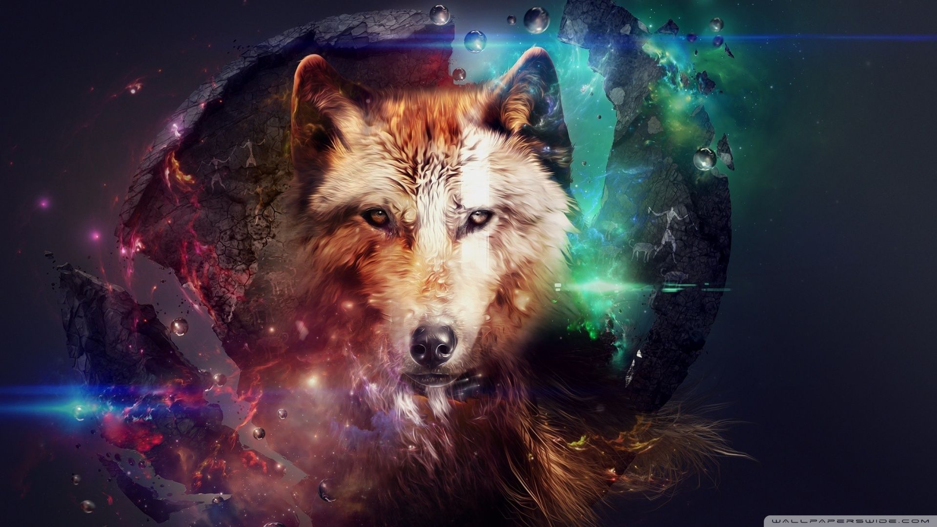 picture Wolf Cool Wallpapers For Tablets