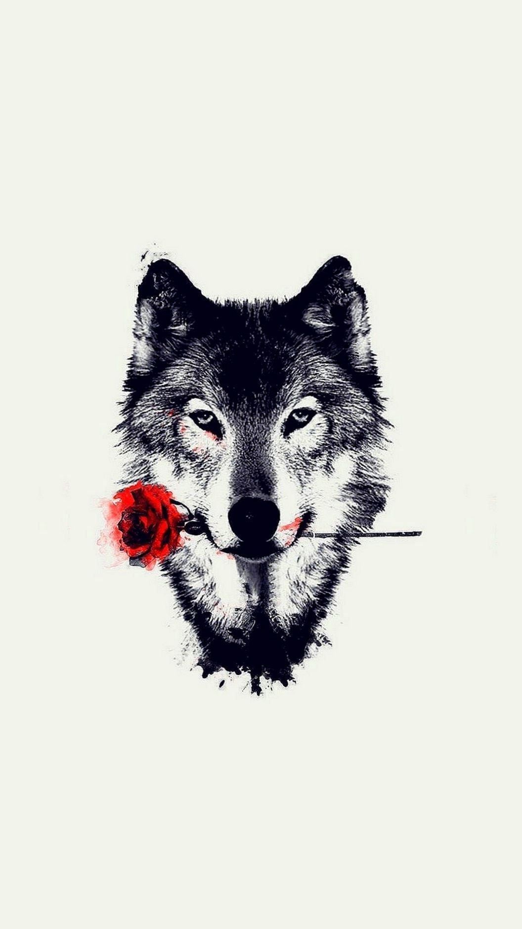 photo Wolf Cool Wallpapers For Tablets