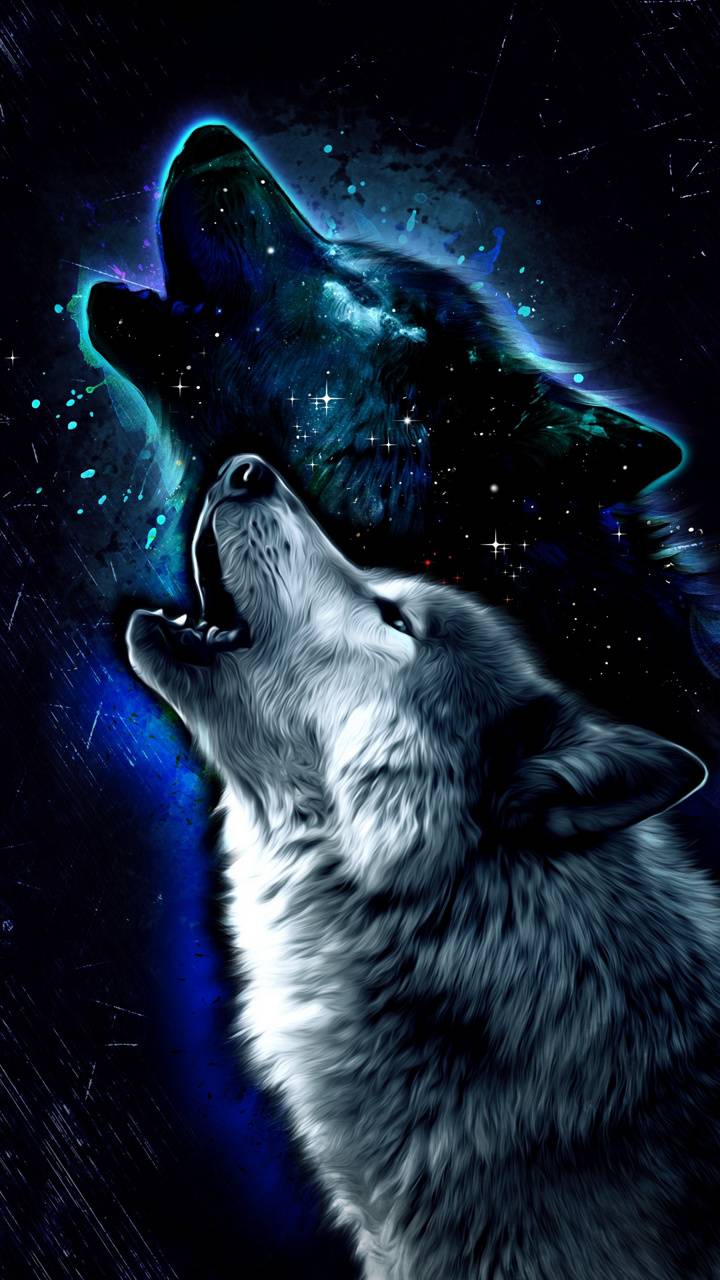 pix Wolf Cool Wallpapers For Tablets