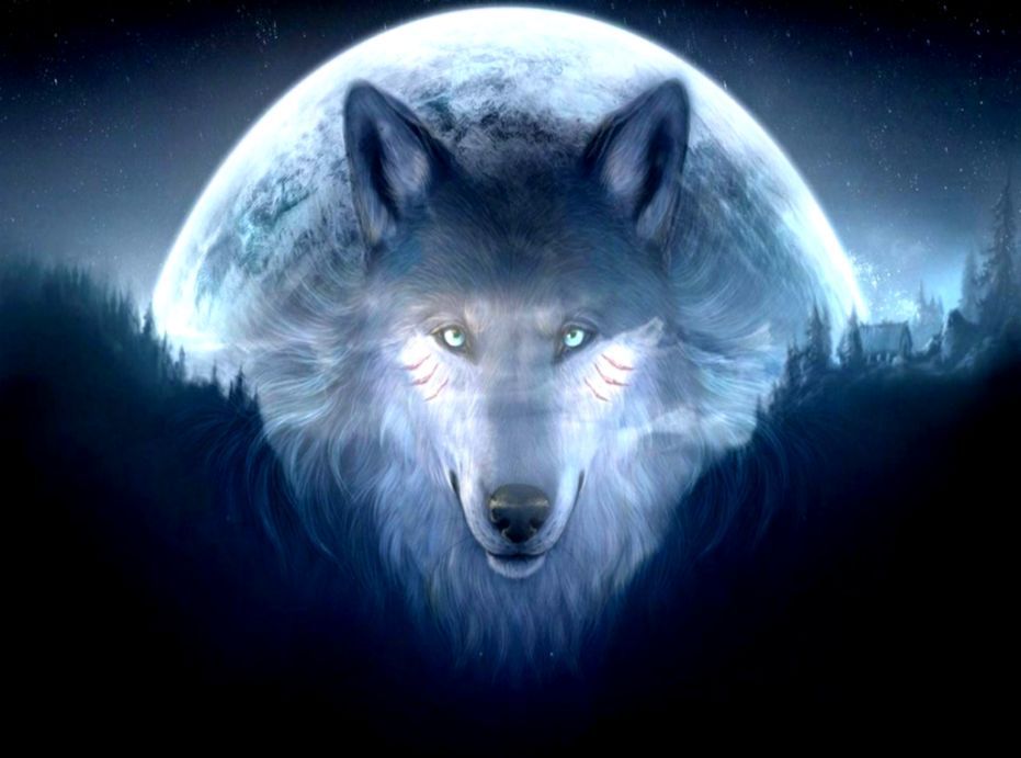 Featured image of post Wolf Cool Wallpapers Hd