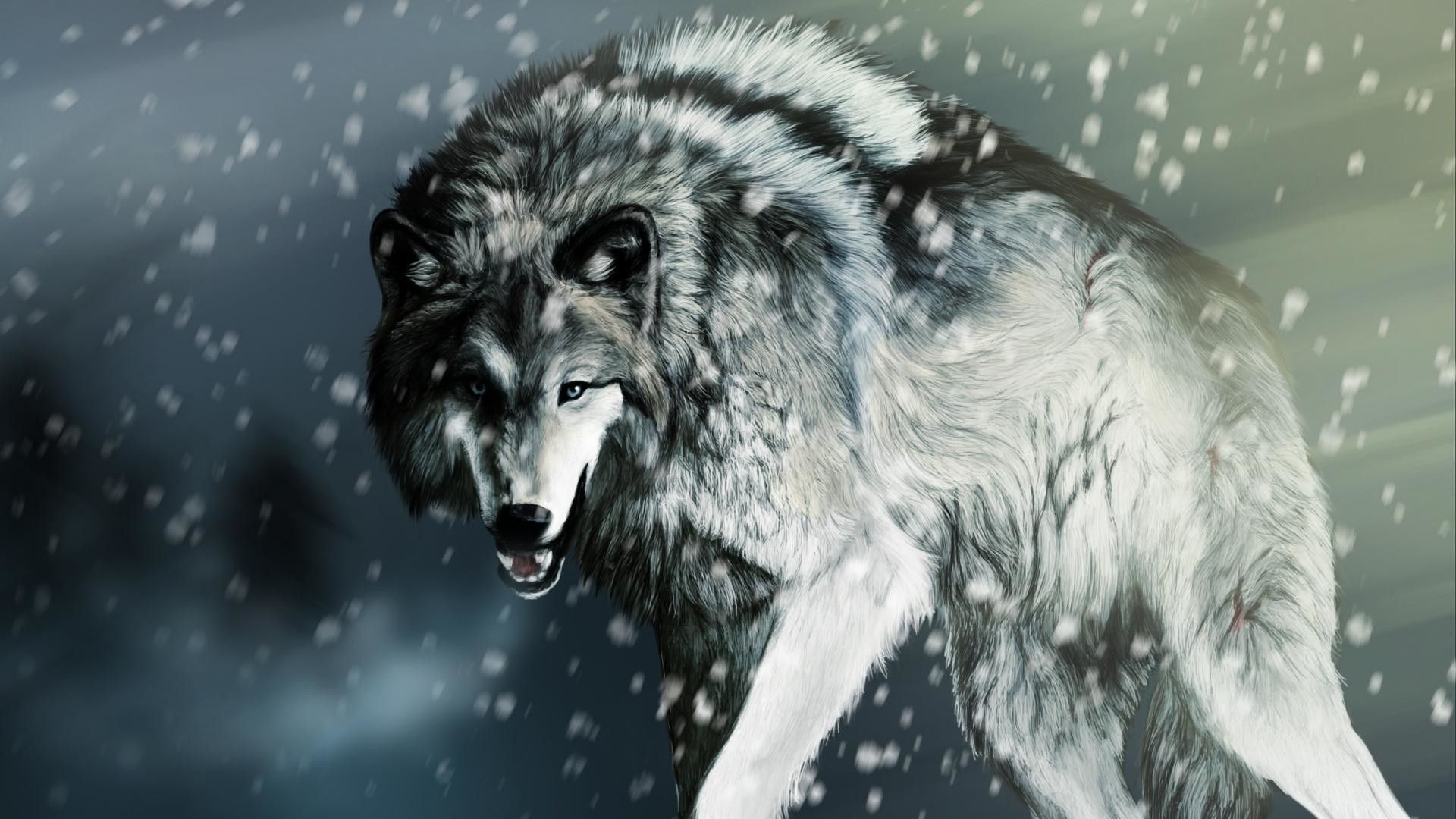 pix Wolf Cool Wallpapers Hd