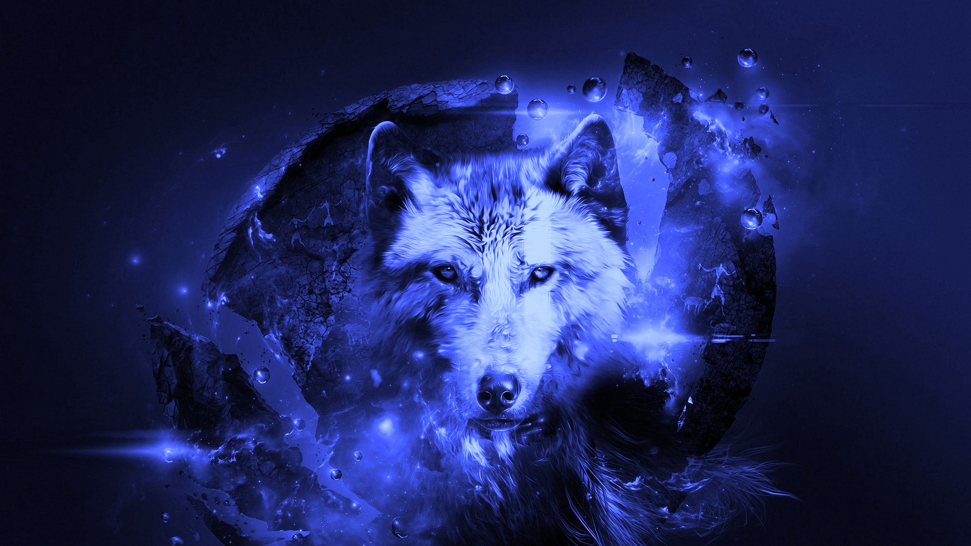 images Wolf Cool Wallpapers Hd