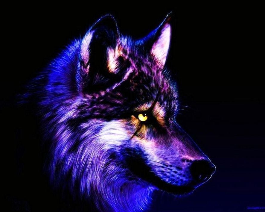 wallpapers Wolf Cool Wallpapers Hd