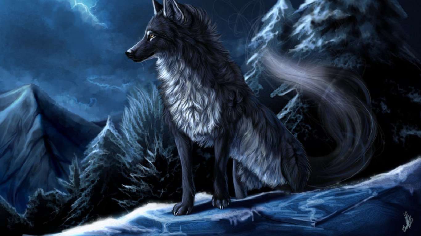 pix Wolf Cool Wallpapers Laptop