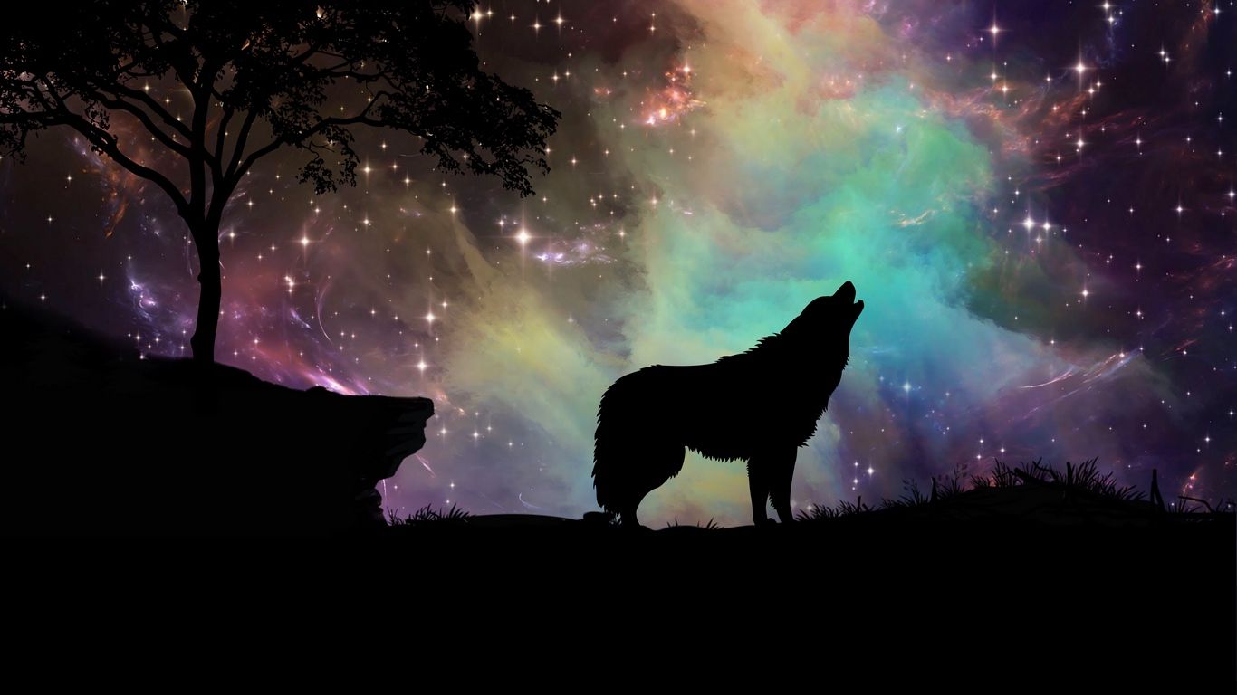 pic Wolf Cool Wallpapers Laptop