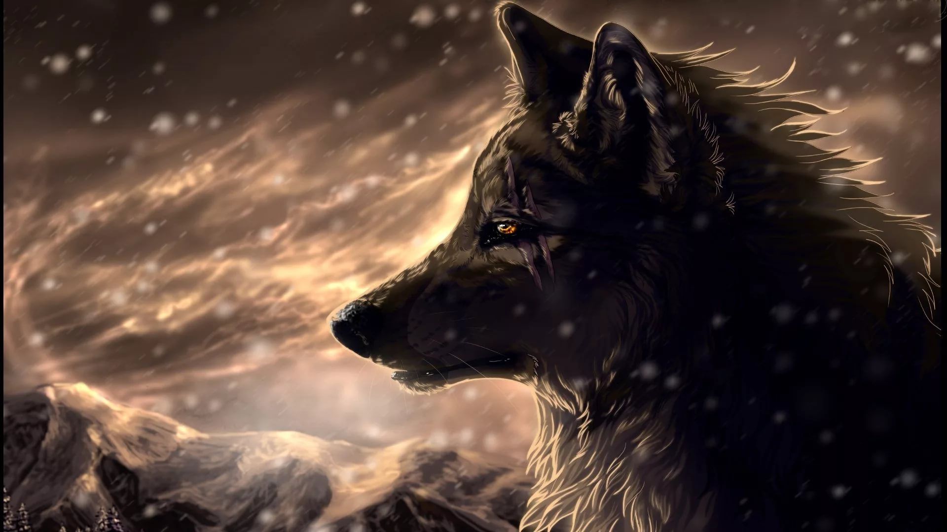 picture Wolf Cool Wallpapers Laptop