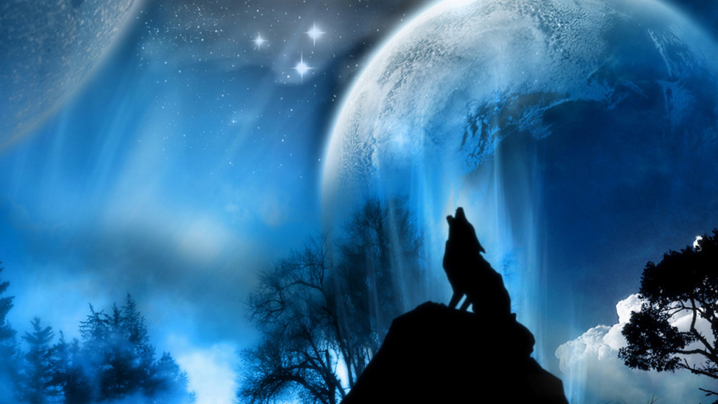 pic Wolf Cool Wallpapers Laptop