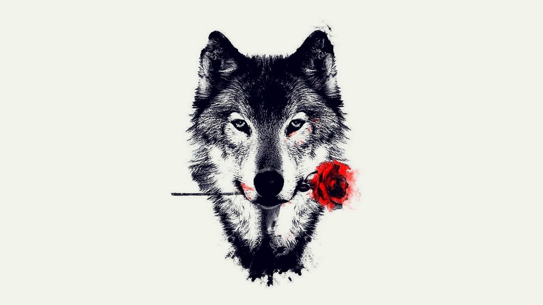 pics Wolf Cool Wallpapers Laptop